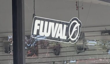 What happens when people don't wash their hands at the game