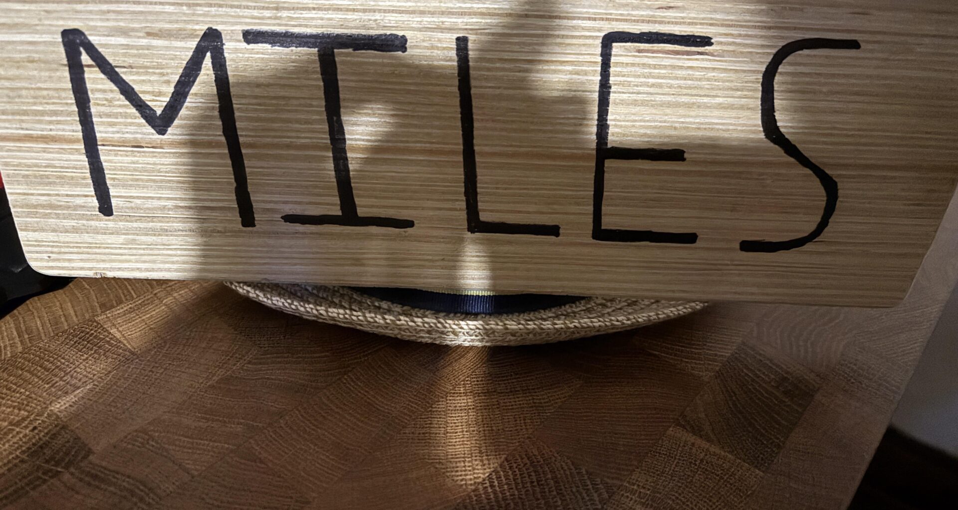 This was my costume for Halloween night against the Leafs