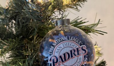 Every year I’m hoping to get a new one.