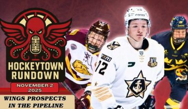 DETROIT RED WINGS TOP 5 PROSPECTS IN THE PIPELINE