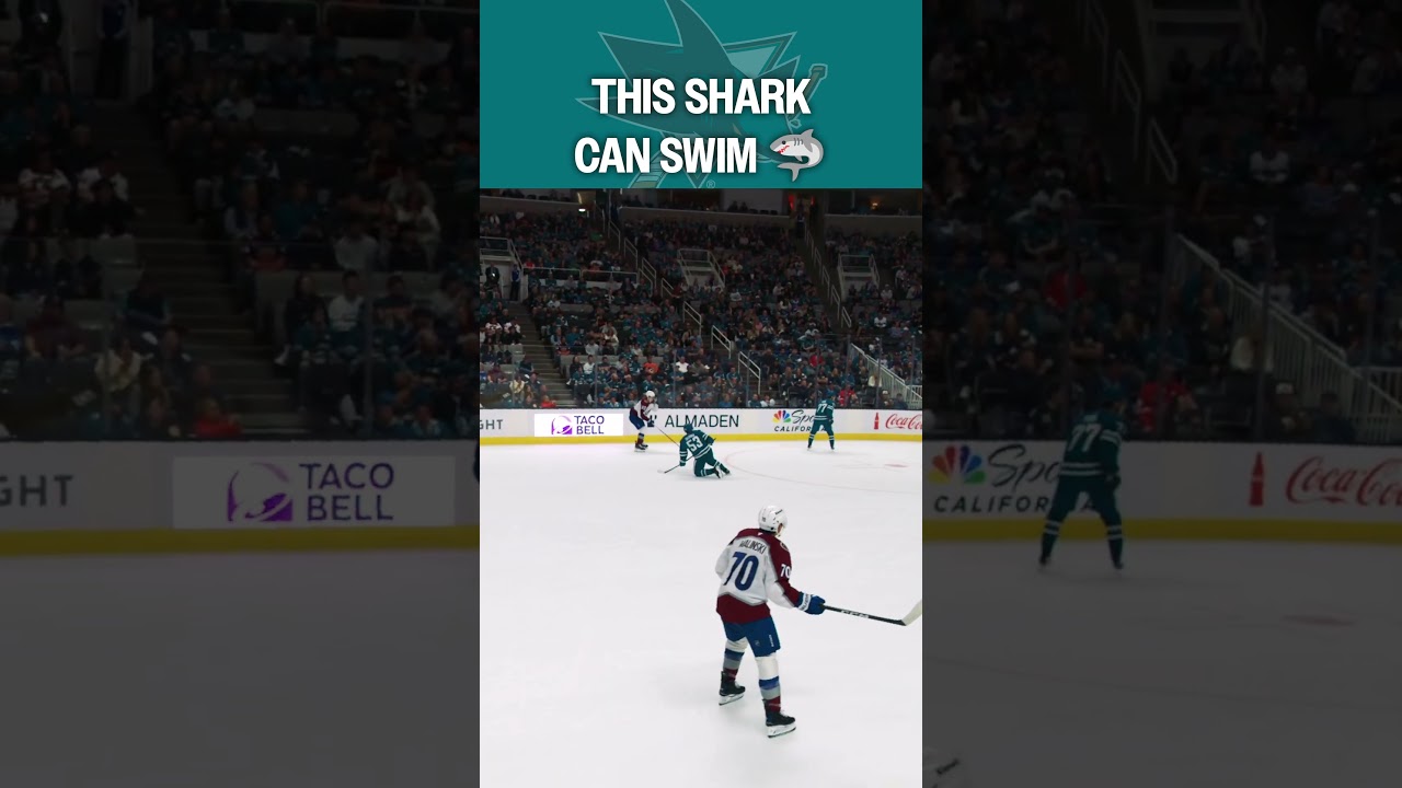 The Long Swim Home 🦈