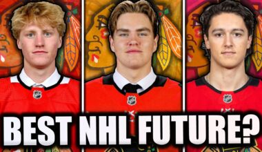 The Chicago Blackhawks Prospect Pool SCARES Me.