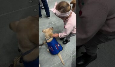 New York Islanders Puppy Marty Attends First Game!