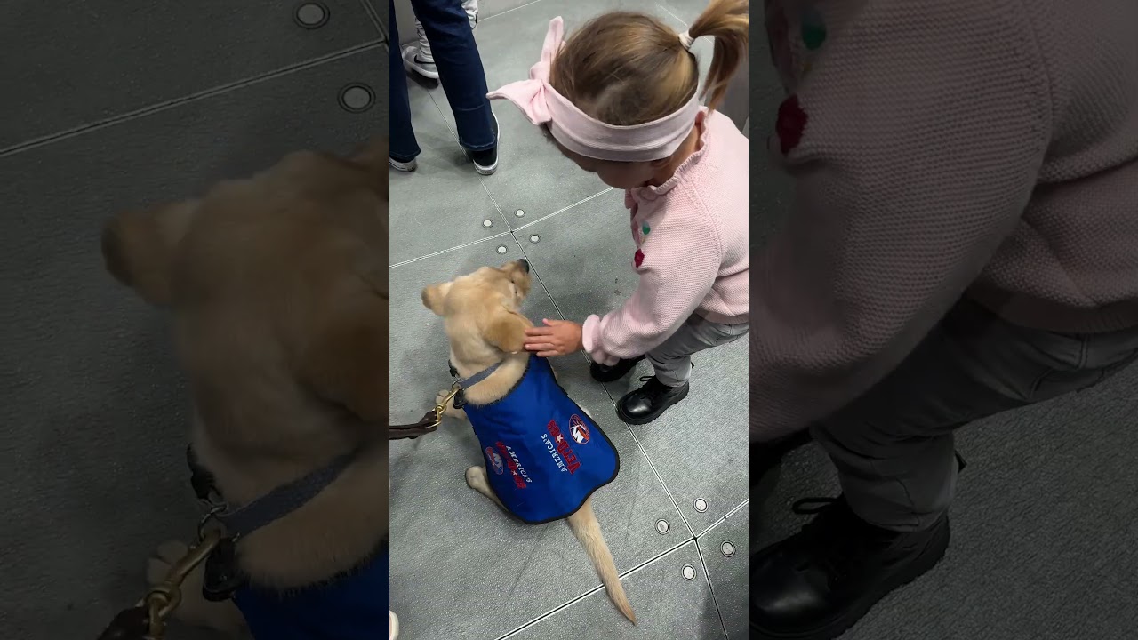 New York Islanders Puppy Marty Attends First Game!