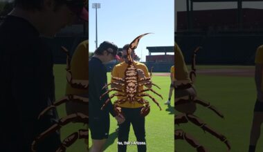 A Day in the Arizona Fall League with Aiden May