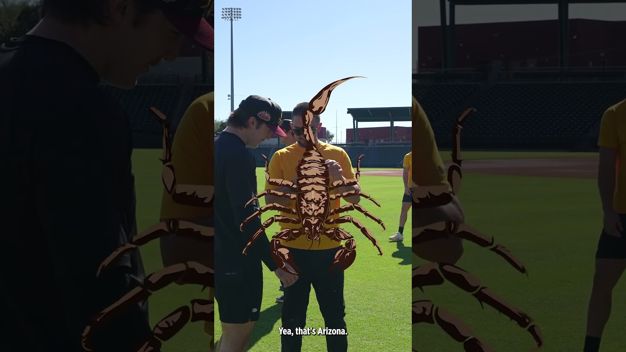 A Day in the Arizona Fall League with Aiden May