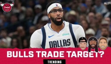 Should the Bulls trade for Anthony Davis?