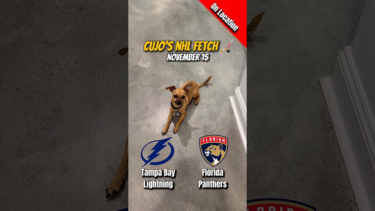 Cujo’s NHL Fetch | Tampa Bay Lightning vs Florida Panthers 🐕 11-15-2025 NHL Hockey