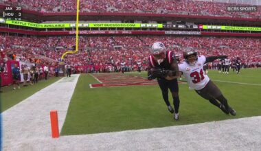 Stefon Diggs toe tap in the back of the endzone