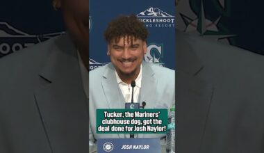 Josh Naylor said Tucker, the Mariners' clubhouse dog was one of the reasons he re-signed 🐶❤️