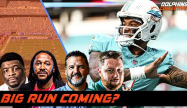 Are The Dolphins In The Middle of a Big Run?
