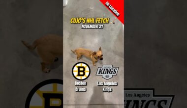 Cujo’s NHL Fetch | Boston Bruins vs Los Angeles Kings 🐕 11-21-2025 NHL Hockey