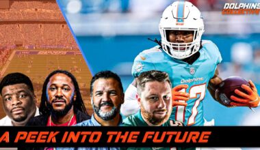 Miami Dolphins- A peek into the Future.