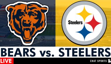 Bears vs. Steelers Live Streaming Scoreboard, Free Play-By-Play, Highlights | NFL Week 12