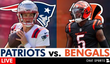 Patriots vs. Bengals Live Streaming Scoreboard, Play-By-Play, Analysis, Highlights | NFL Week 12
