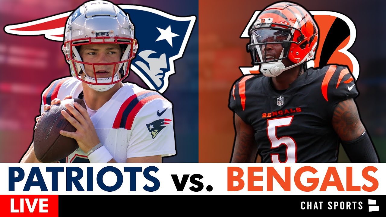 Patriots vs. Bengals Live Streaming Scoreboard, Play-By-Play, Analysis, Highlights | NFL Week 12