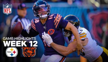 Pittsburgh Steelers vs Chicago Bears Game Highlights | 2025 NFL Season Week 12