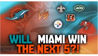 Will The Miami Dolphins Win The Next 5? Will 10-7 Get The In?!