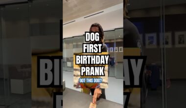 I think the guys are excited about this party 🥳🐶 #nba #detroitpistons