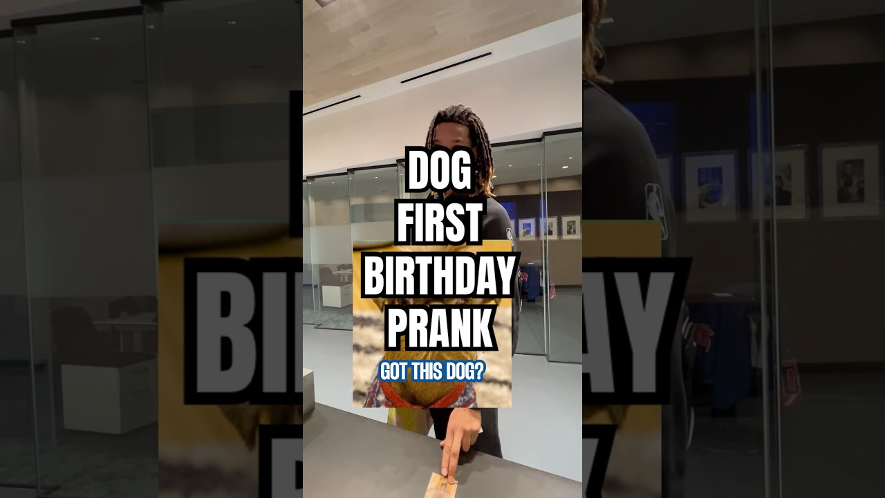 I think the guys are excited about this party 🥳🐶 #nba #detroitpistons