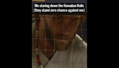 🙂‍↕️🙂‍↕️🙂‍↕️