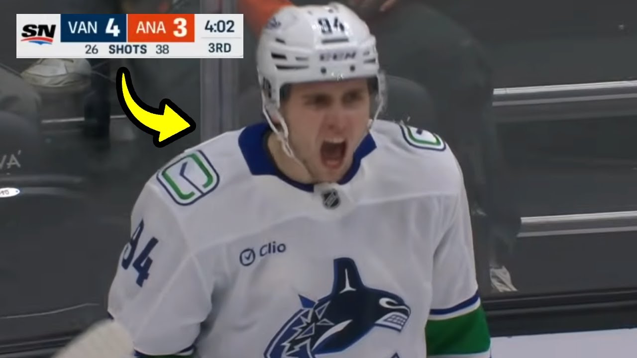 The Vancouver Canucks are VERY confusing...