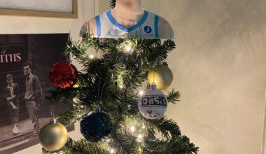 My tree topper this year 🩵