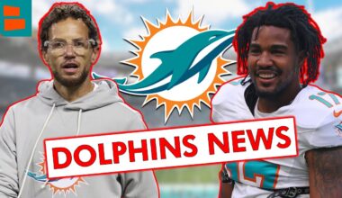 Miami Dolphins News: Miami Makes Roster Move, Dolphins Injury News + UPDATED NFL Playoff Chances