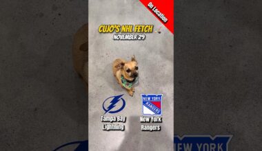 Cujo’s NHL Fetch | Tampa Bay Lightning vs New York Rangers 🐕 11-29-2025 NHL Hockey
