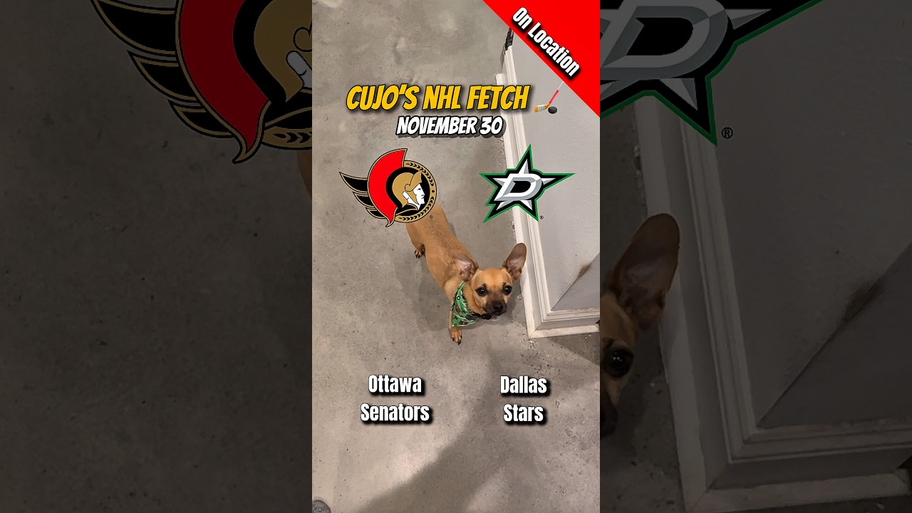 Cujo’s NHL Fetch | Ottawa Senators vs Dallas Stars 🐕 11-30-2025 NHL Hockey