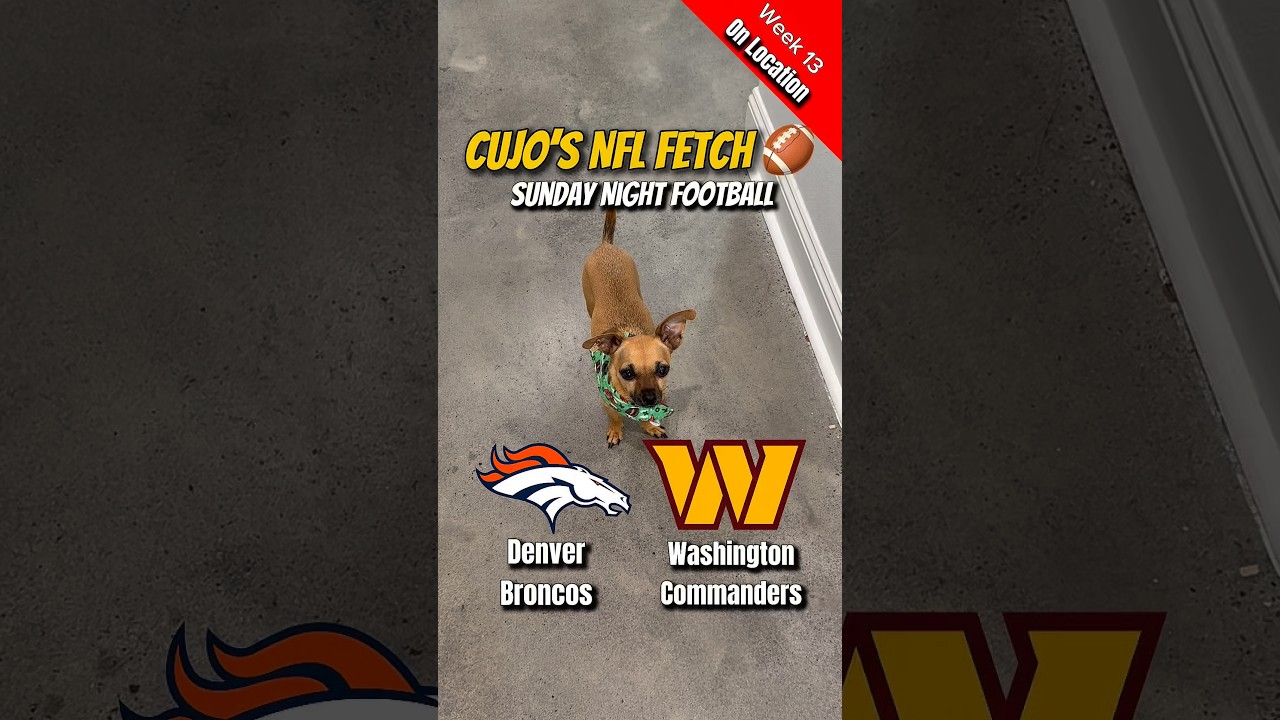 Cujo’s NFL Fetch | Denver Broncos vs Washington Commanders 🐕 11-30-2025 Sunday Night Football
