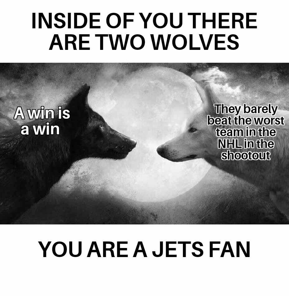 You are a Jets fan