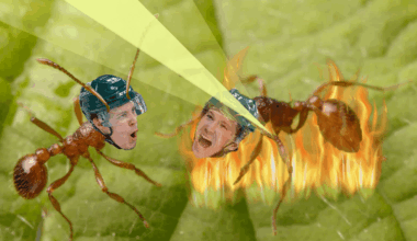 IT'S GAME DAY!!!! Today we're up against the MINNESOTA WILD and Huberdeau's about to start a WILDFIRE!!! GO FLAMES!!!