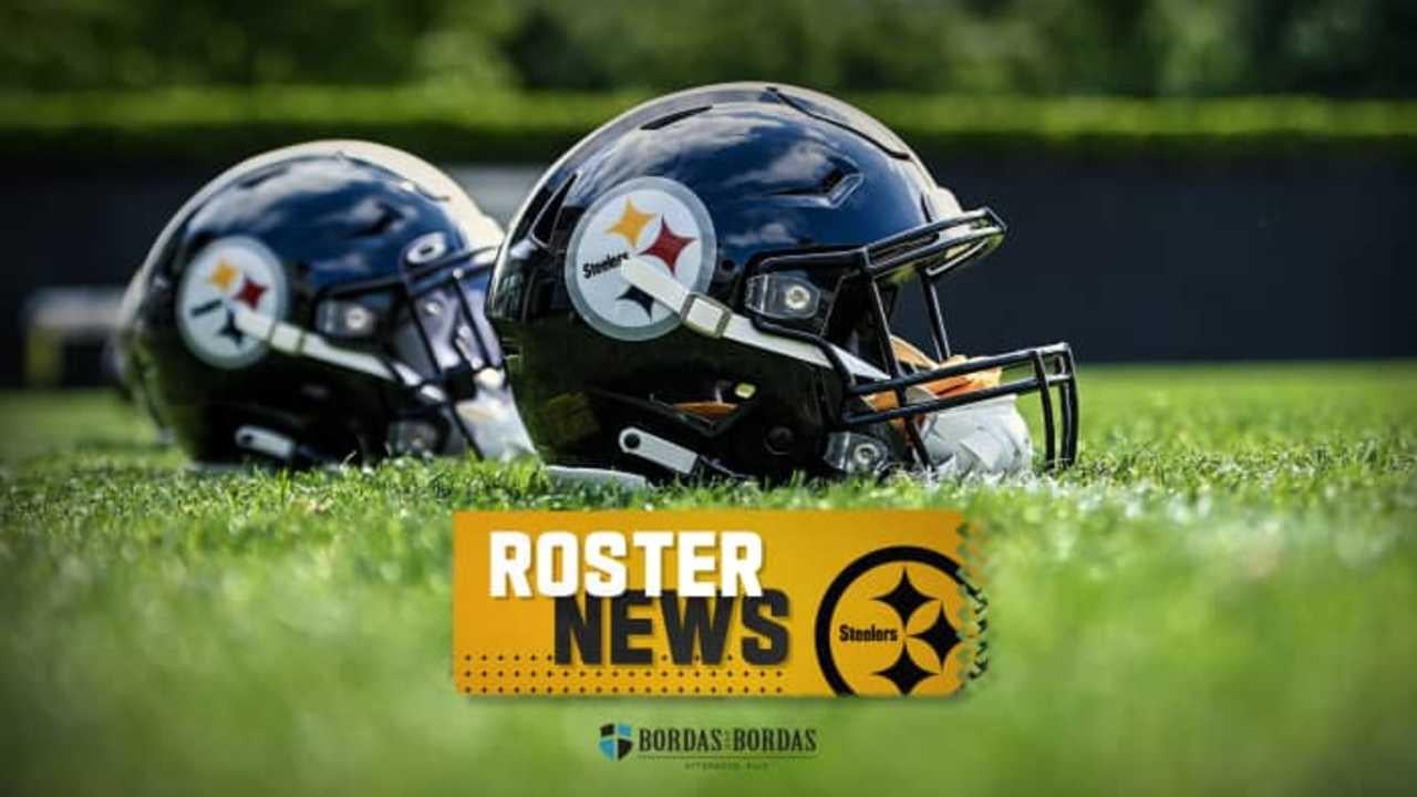 [Steelers] We have claimed S Sebastian Castro off waivers from the Tampa Bay Buccaneers and released S Juan Thornhill.