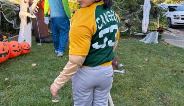 My sons Halloween costume