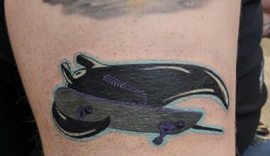 So I did a thing today…