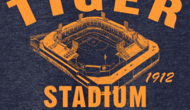 TIGER 1912 STADIUM DETROIT. !!!