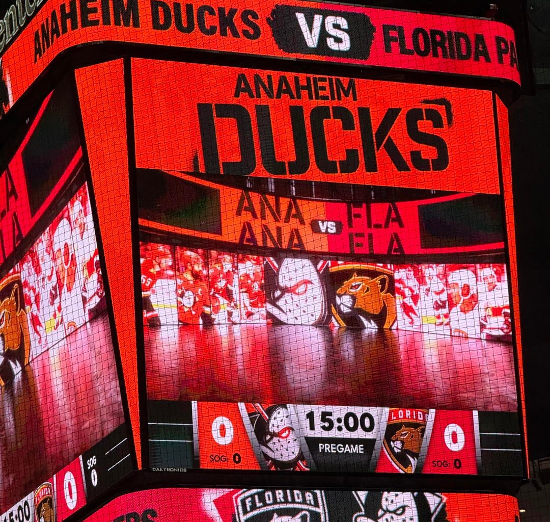 Wife and I went to our very first NHL game