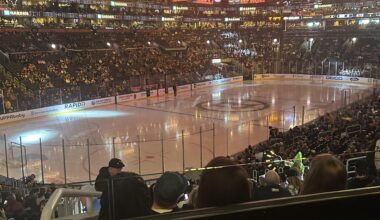 In the Bear’s Cage