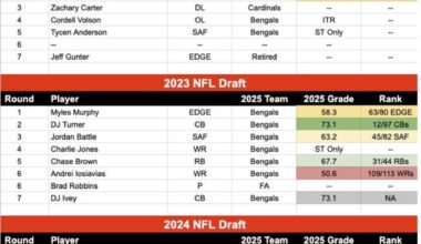 Bengals last 5 drafts and their NFL-wide positional ranks.