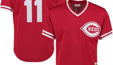 Does anywhere make/sell a regular t-shirt version of this?