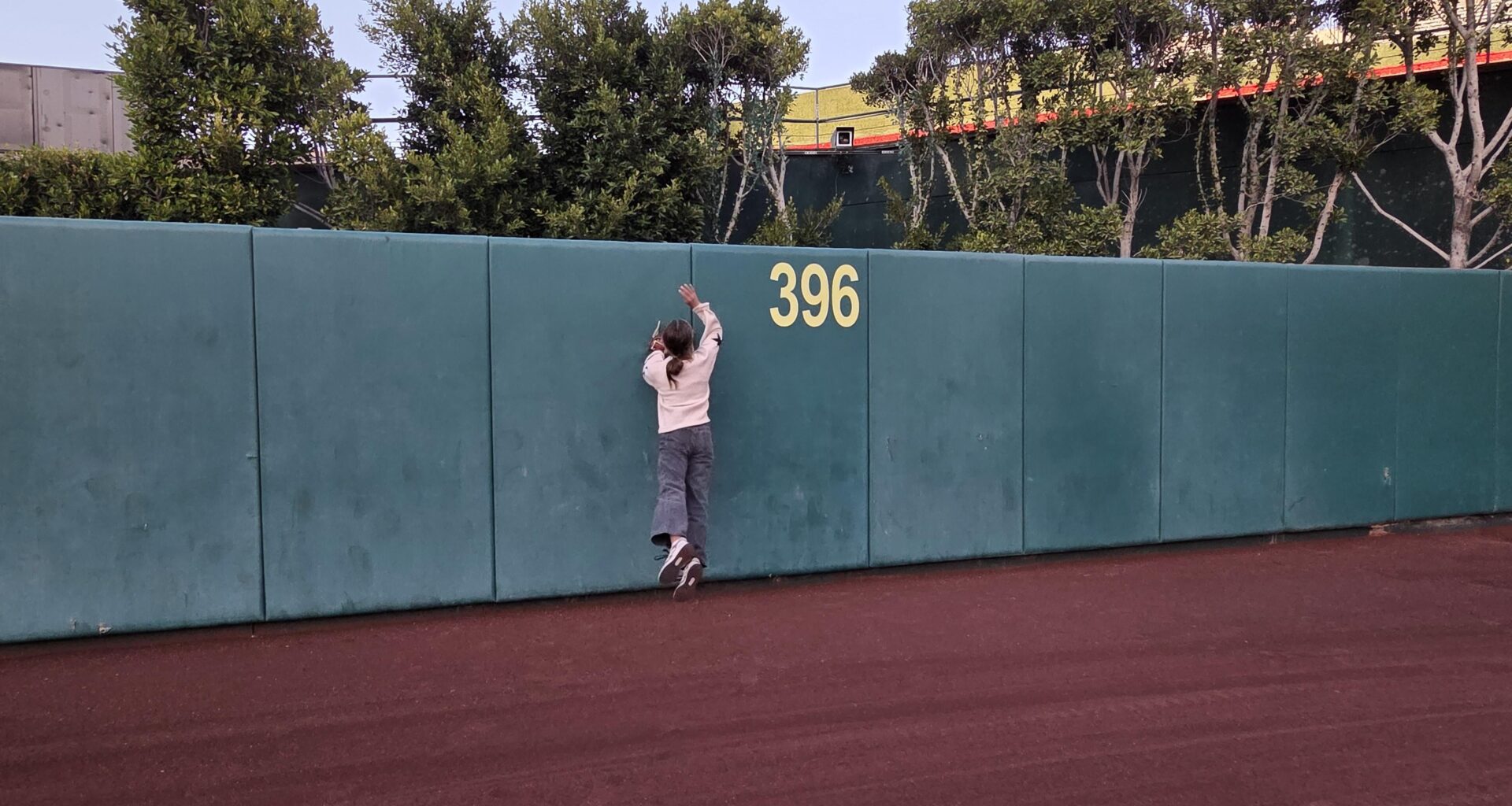 Season Ticket Holders, Are you renewing?