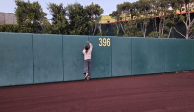 Season Ticket Holders, Are you renewing?