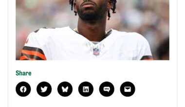 I’m not sure that this can count as trolling if it’s true?