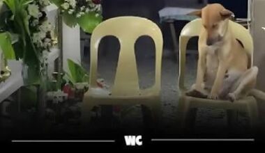 No matter what, I’ll always support this stupid ass team and their 3-and-outs