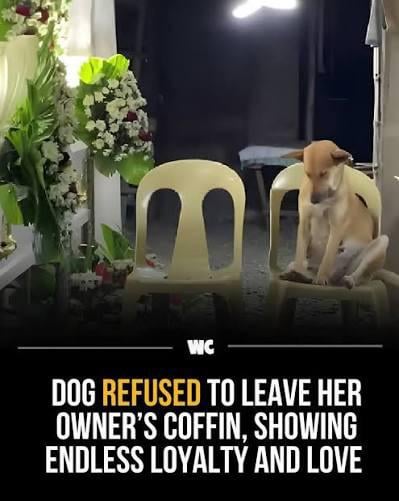 No matter what, I’ll always support this stupid ass team and their 3-and-outs