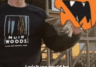 WHY ARE YOU MAKING IT SO HARD, BENGOS