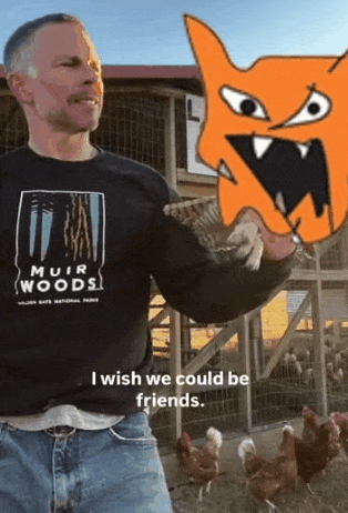 WHY ARE YOU MAKING IT SO HARD, BENGOS