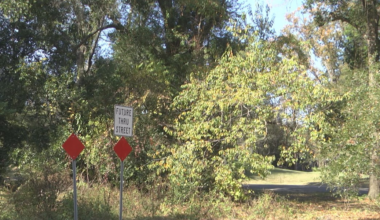 A Gainesville wildlife area could be the site of a new University of Florida golf course