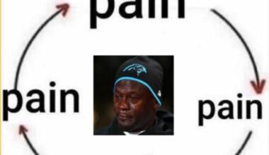 How it feels to be a panthers fan